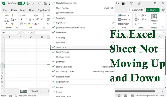 Excel Sheet Not Moving Up and Down